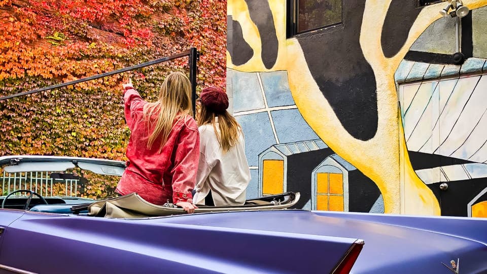 Montréal: Guided Tour in Vintage Convertible Cadillac Gallery Image 3