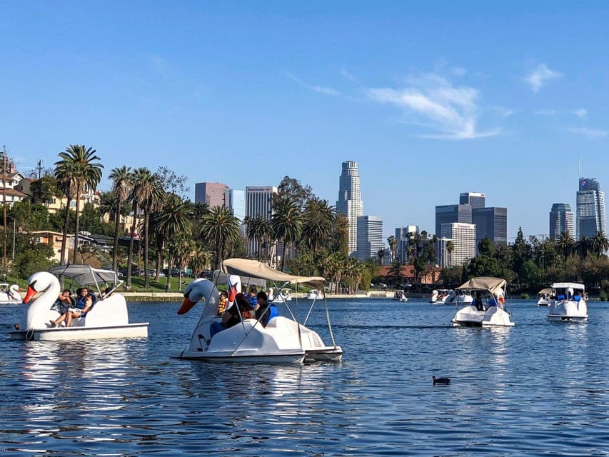 Echo Park Lake: Swan Pedal Boat Rental Gallery Image 1