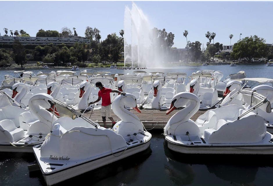 Echo Park Lake: Swan Pedal Boat Rental Gallery Image 2