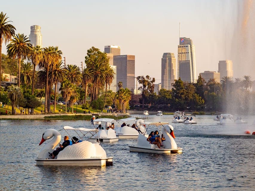 Echo Park Lake: Swan Pedal Boat Rental Gallery Image 4