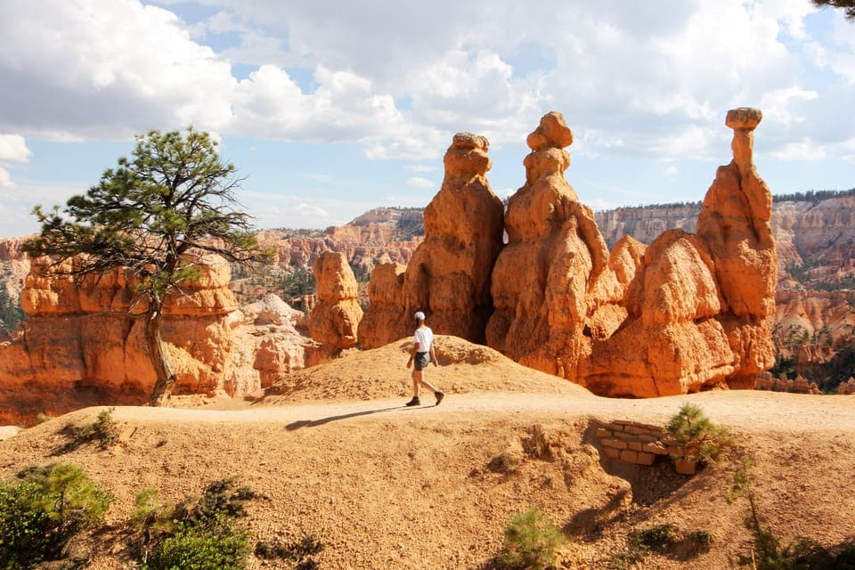 41. Bryce Canyon & Zion National Park: Private Group Tour - Image 41