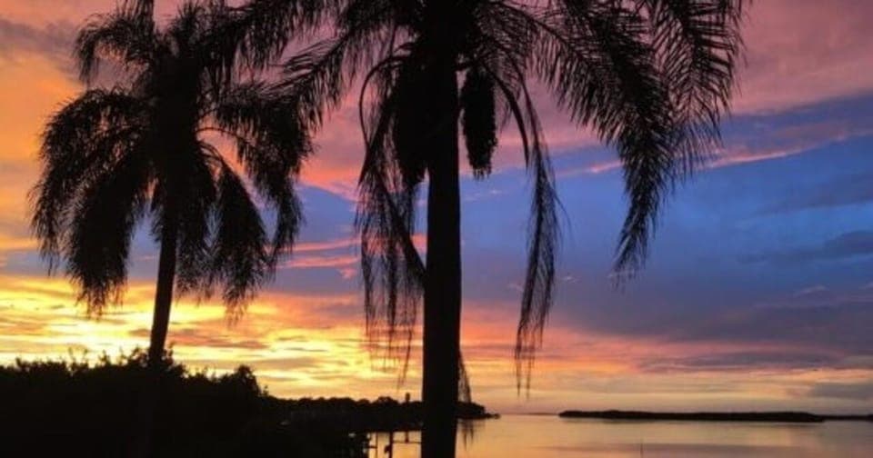 Hillsborough River Evening Boat Tour Up to 13 people Gallery Image 2