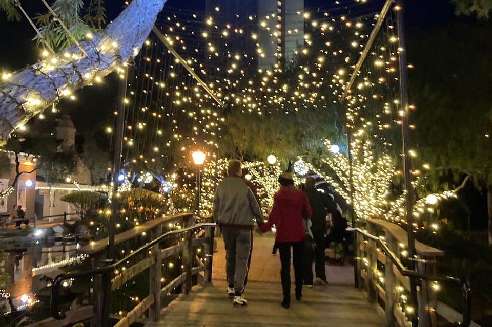 Holiday Lights and Sights Trolley Tour Gallery Image 2