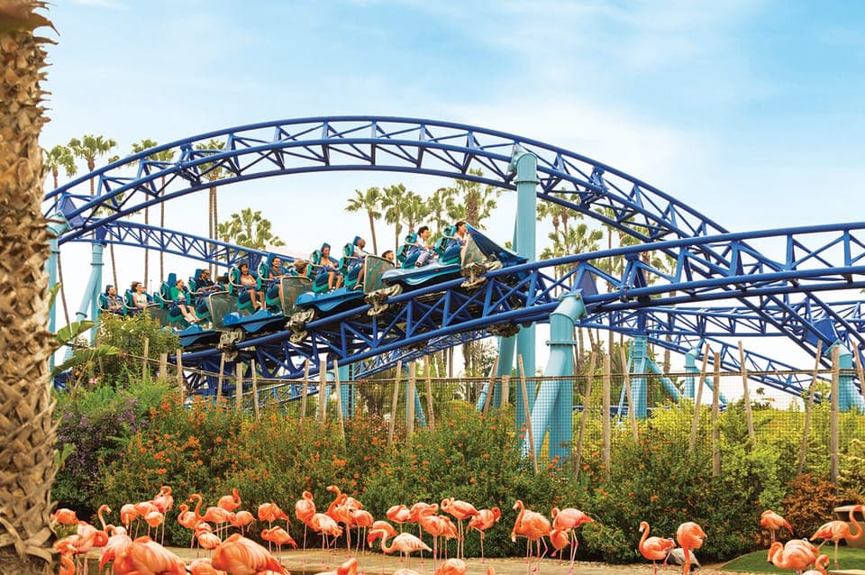 SeaWorld Skip-the-Line Park Admission Ticket Gallery Image 1