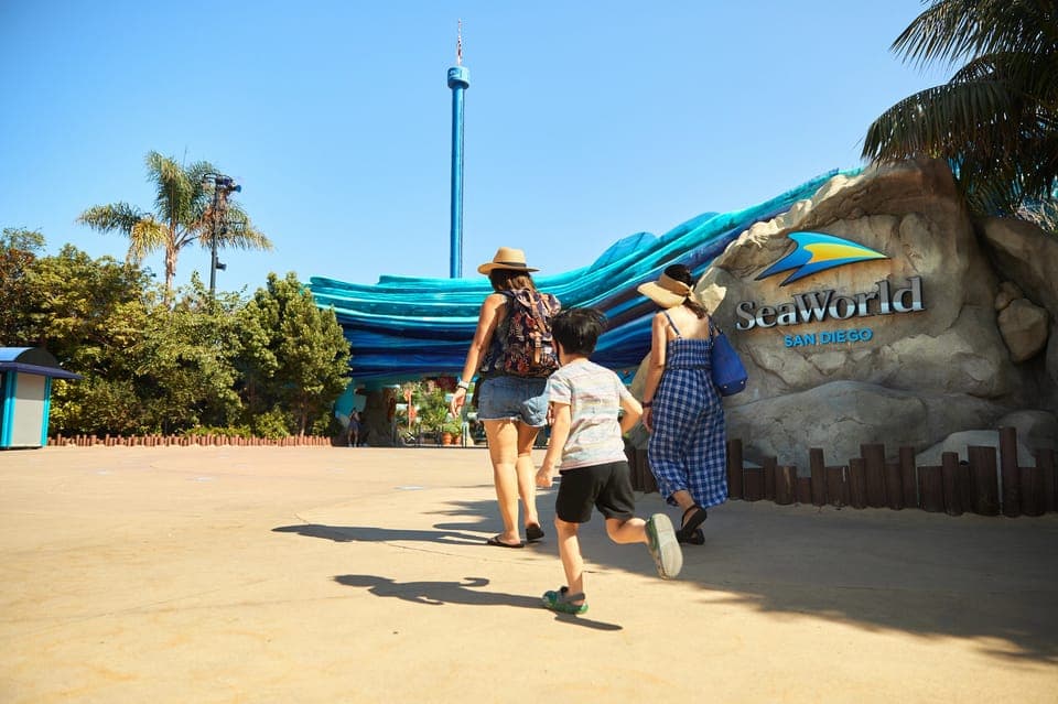 SeaWorld Skip-the-Line Park Admission Ticket Gallery Image 4