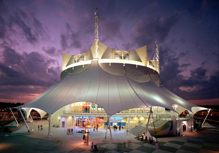 "Drawn to Life" Cirque du Soleil Entry Pass - Image 7