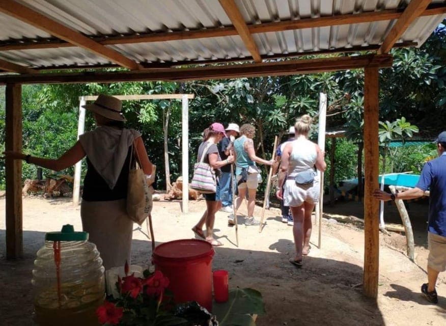 Huatulco: Private Coffee and Fruit Ranch Experience Gallery Image 2