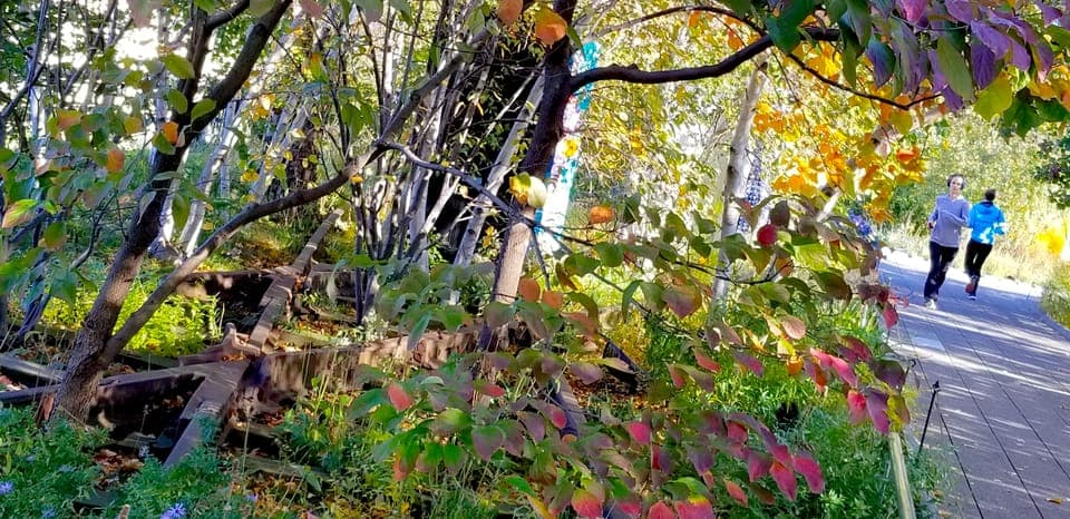 Secrets Of High Line Park Walking Tour Gallery Image 4