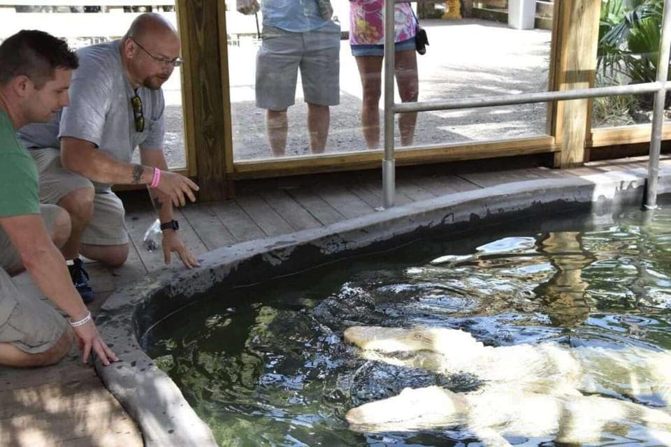 Wild Florida Park Ticket and Gator Shows Gallery Image 1