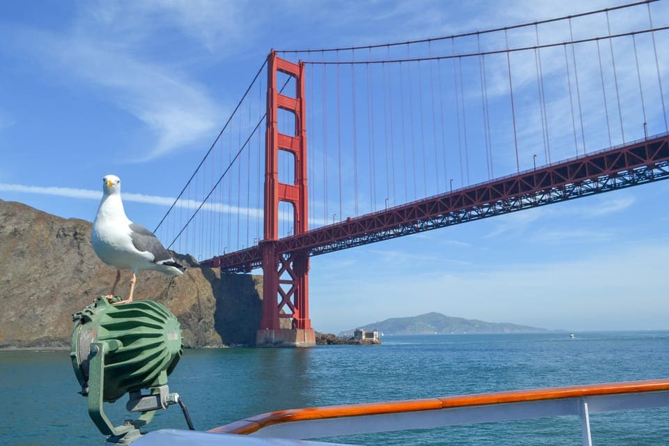 City Cruises Buffet Lunch or Dinner Cruise Gallery Image 3