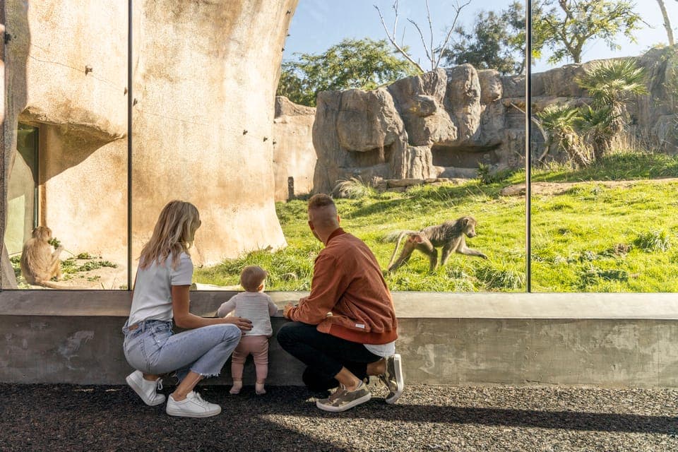 San Diego Explorer Pass: Tickets to 2-7 Attractions Gallery Image 3