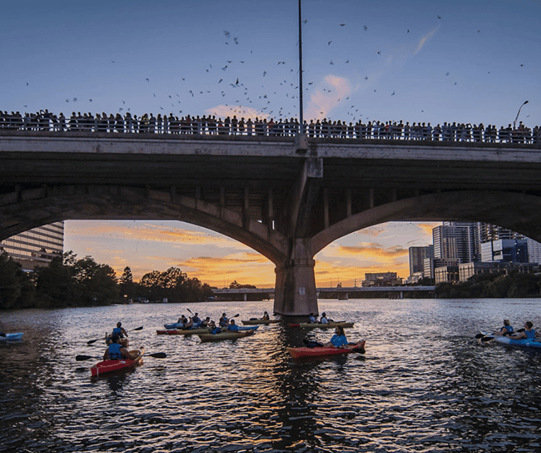 Congress Avenue Sunset Bat Kayaking Tour Gallery Image 4