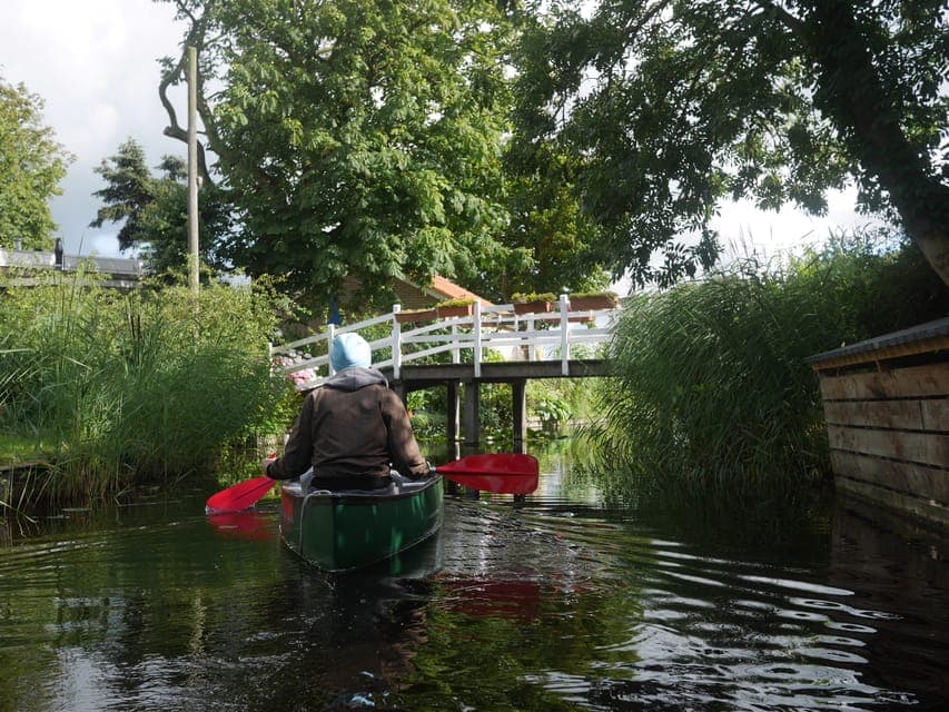2-Hour Guided Canoe Trip Gallery Image 3