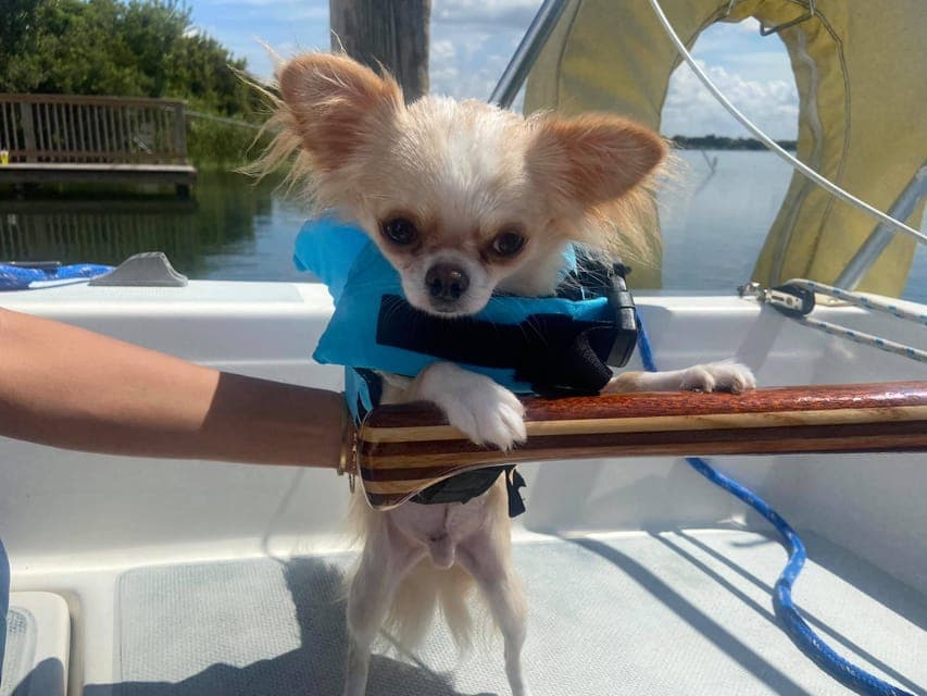 Sailing Tour with Certified Sailing Instructor Gallery Image 3