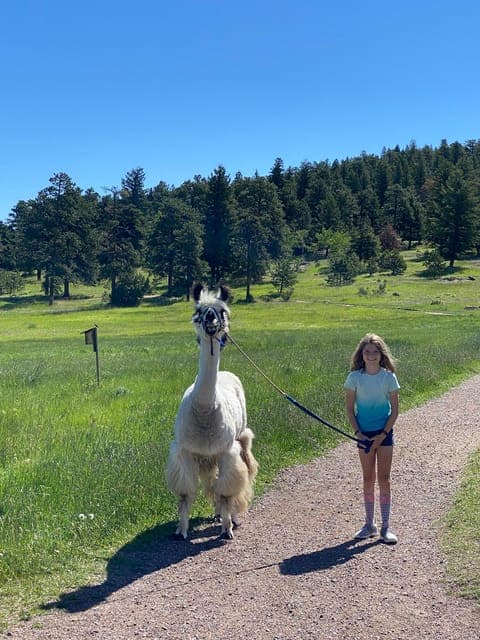 Llama Hike in the Rocky Mountains Gallery Image 2