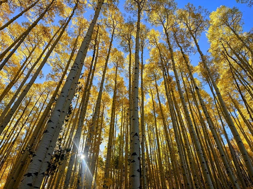 Guided Hiking Tour & Mountain Town Exploration Gallery Image 3