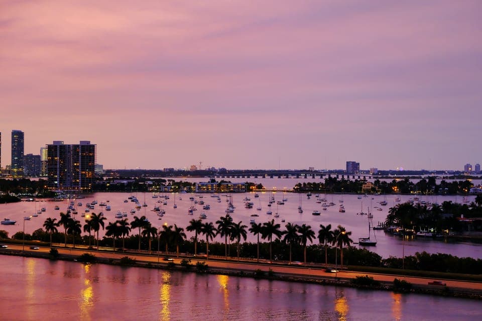 Miami Premium Driving Night Tour with Skyviews Wheel Ride Gallery Image 4