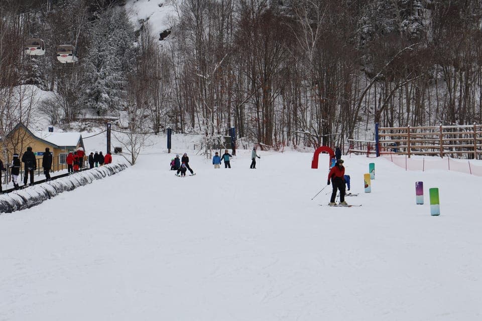 Guided Skiing in Quebec Forests Gallery Image 3