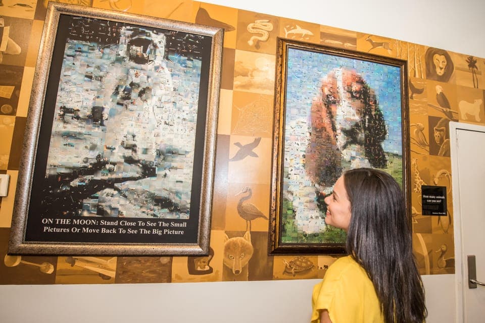 WonderWorks Nighttime Entry Ticket Gallery Image 3