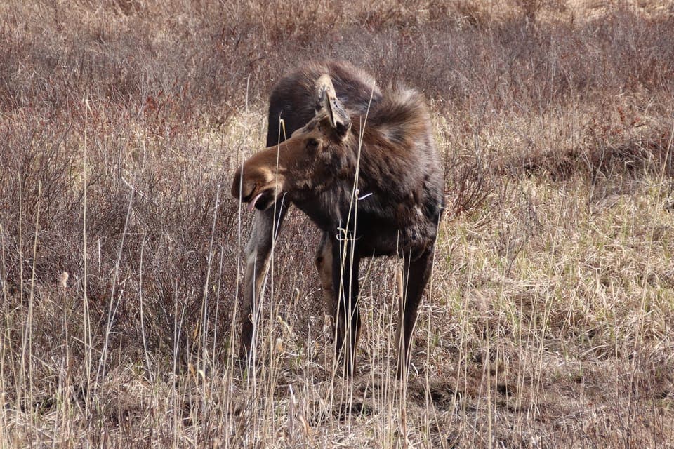 Algonquin Park Hiking: Adventure Tour from Toronto Gallery Image 3