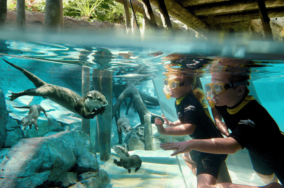 Orlando: Discovery Cove Admission Ticket & Additional Parks Gallery Image 1