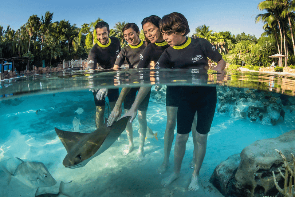 Orlando: Discovery Cove Admission Ticket & Additional Parks Gallery Image 2