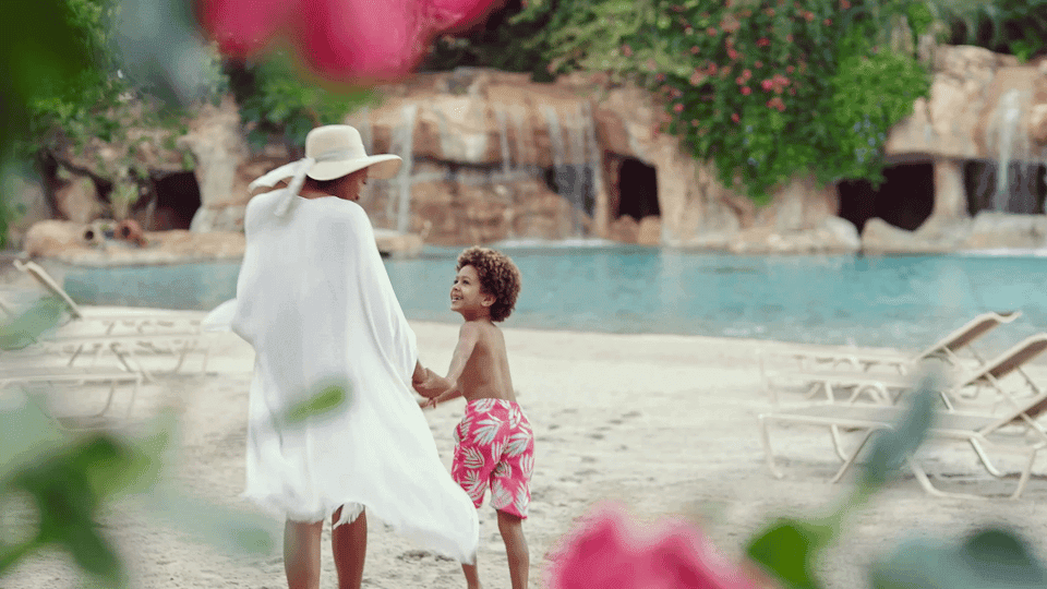 Discovery Cove Admission Ticket & Additional Parks Gallery Image 4