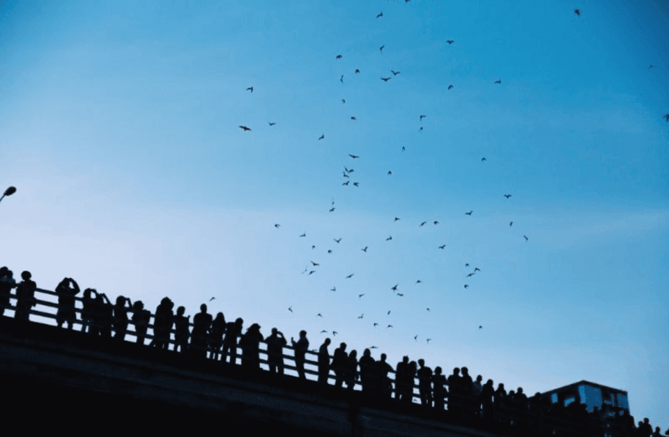 Austin Premium Driving Tour with Sunset Boat Cruise Gallery Image 2