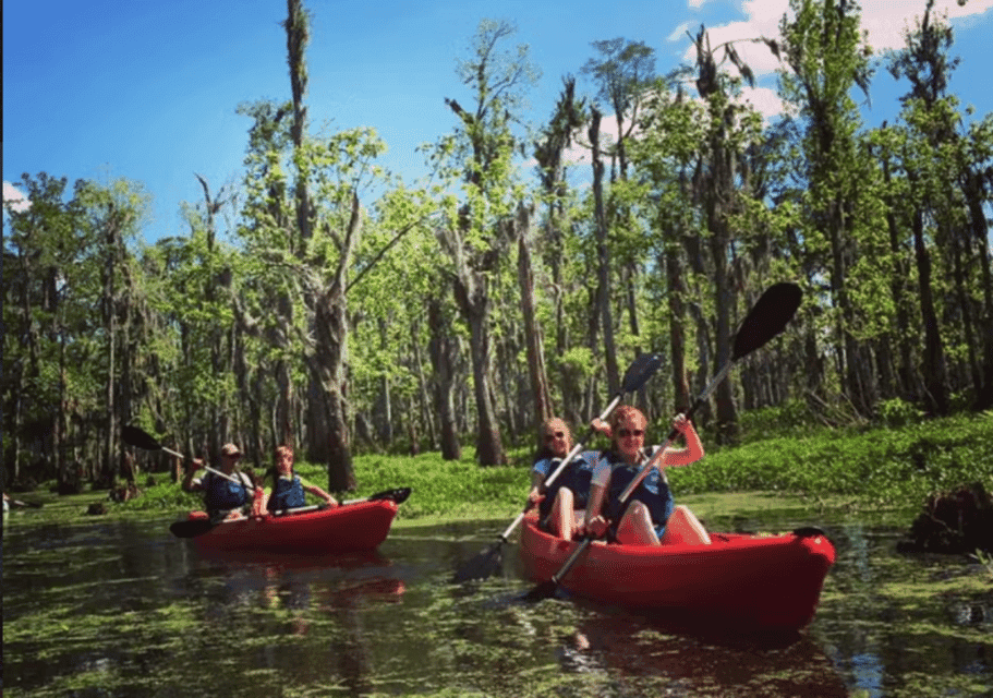 47. Manchac Swamp Wildlife Kayaking Tour - Image 47
