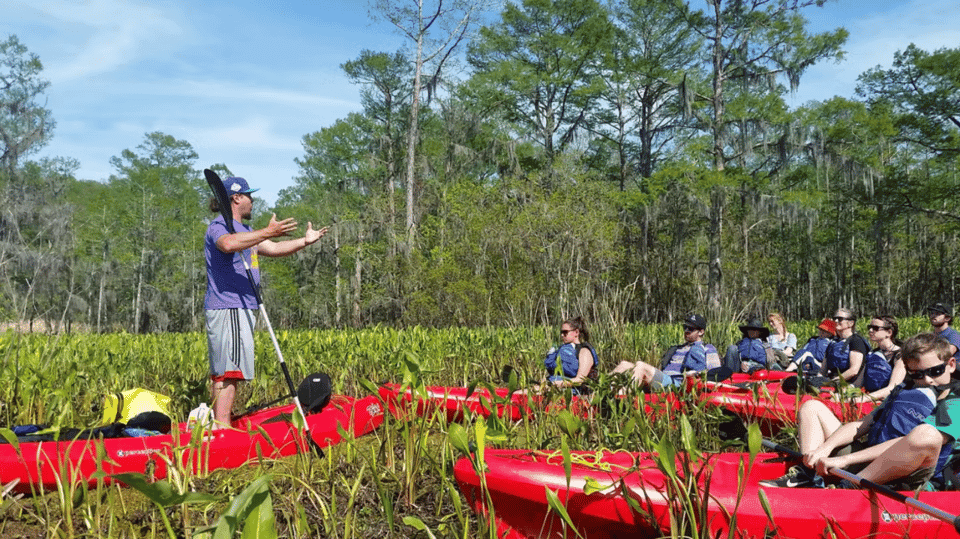 Manchac Swamp Wildlife Kayaking Tour Gallery Image 3