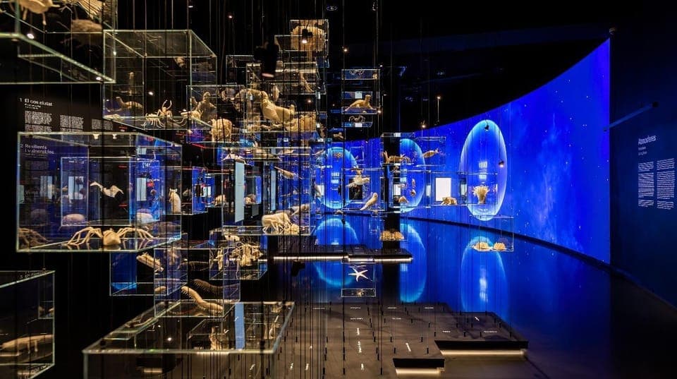 Mirador torre Glòries Skip-the-Line Ticket Gallery Image 4