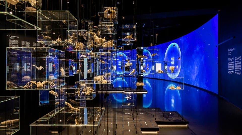 Mirador torre Glòries Skip-the-Line Ticket Gallery Image 4