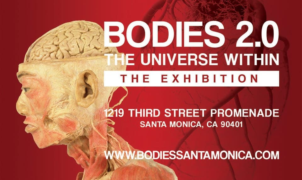 26. Santa Monica: BODIES 2.0 The Universe Within Exhibit Ticket - Image 26