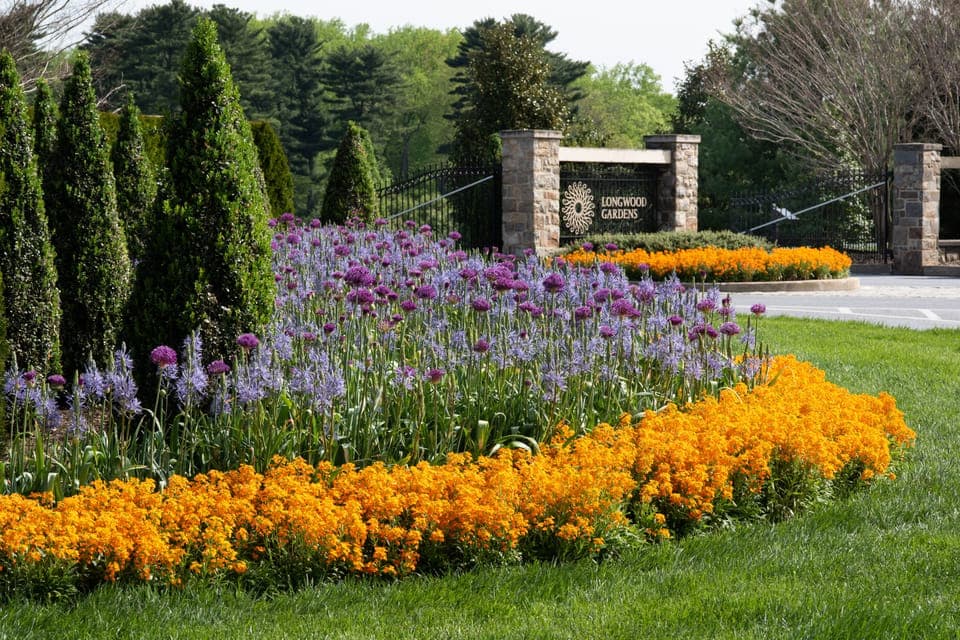 Longwood Gardens Holiday Lights Tour from Philadelphia - Image 6