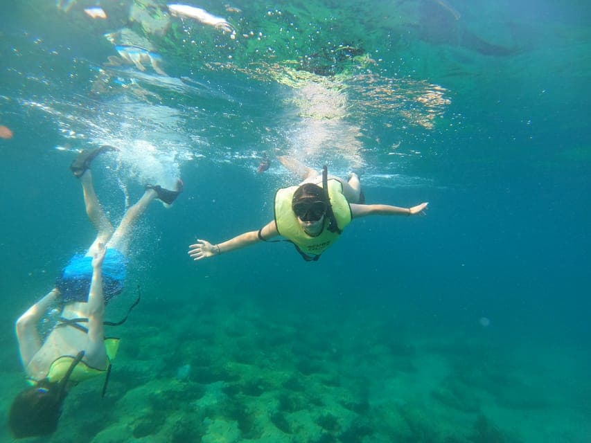 16. Guided Snorkeling Reef Tour and Lesson - Image 16