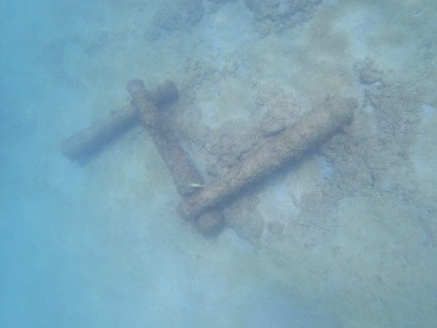 Guided Snorkeling Reef Tour and Lesson Gallery Image 4