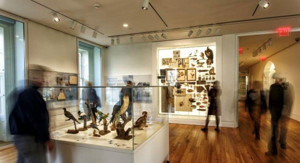 Staten Island Museum Entrance Ticket Gallery Image 4