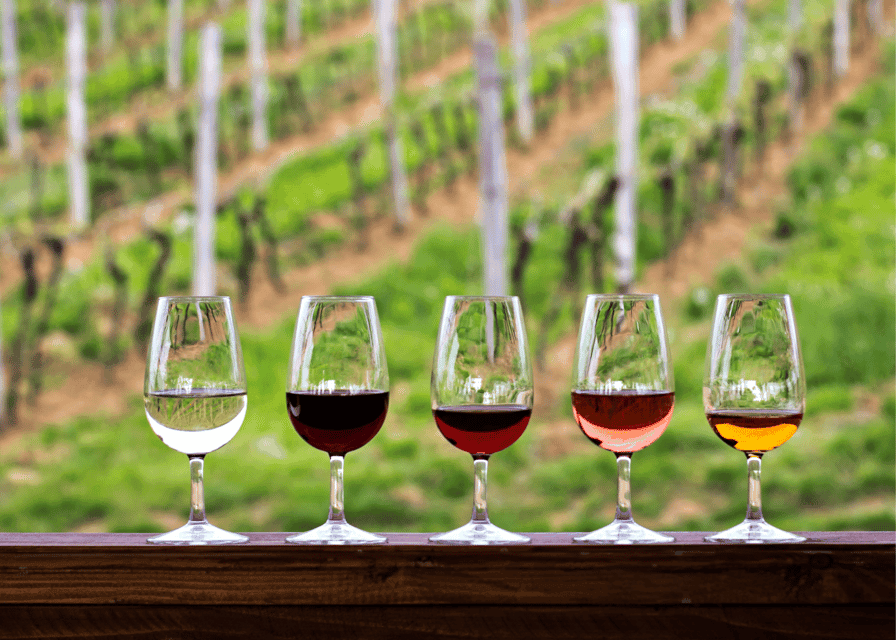 Half-Day Hill Country Wine Shuttle Gallery Image 2