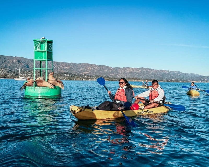 Santa Barbara Harbor: Wildlife Kayak Tour (2 Hours) - Image 7