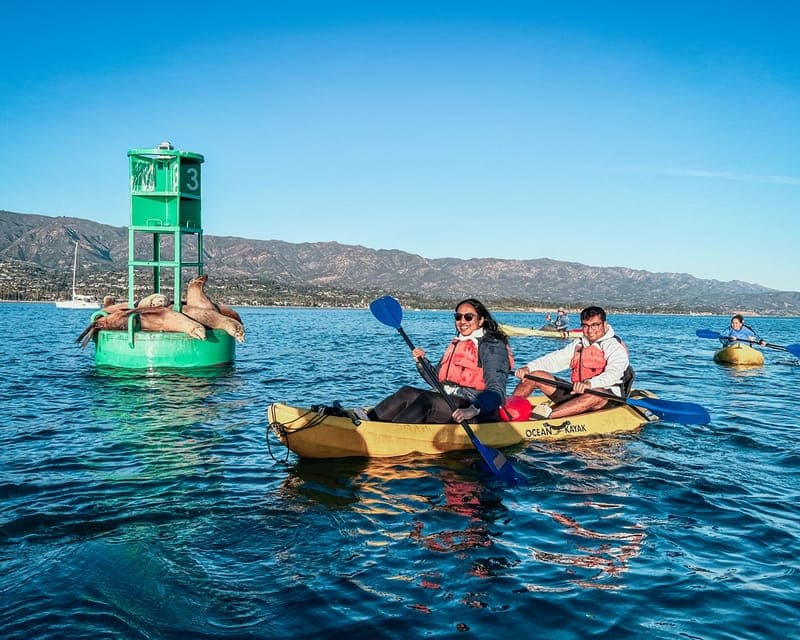 Santa Barbara Harbor: Wildlife Kayak Tour (2 Hours) Gallery Image 1