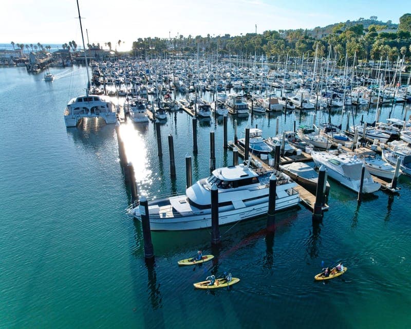 Santa Barbara Harbor: Wildlife Kayak Tour (2 Hours) Gallery Image 2