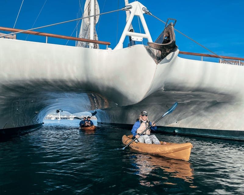 Santa Barbara Harbor: Wildlife Kayak Tour (2 Hours) Gallery Image 3