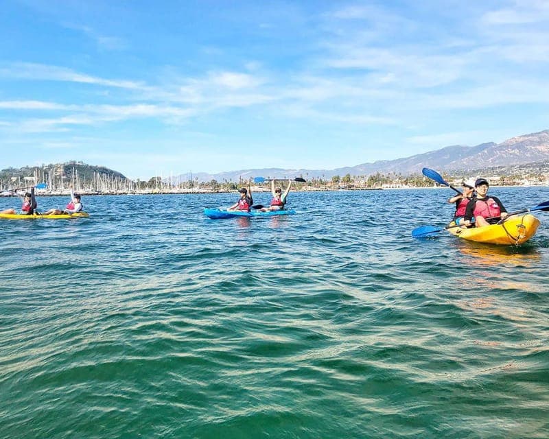 Santa Barbara Harbor: Wildlife Kayak Tour (2 Hours) Gallery Image 4