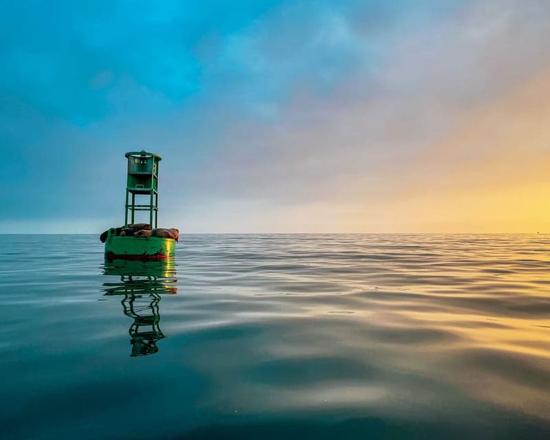 Santa Barbara Harbor: Sunset Kayak Tour (2 Hours) Gallery Image 4