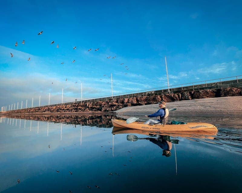 Santa Barbara Harbor: Sunset Kayak Tour (2 Hours) - Image 4