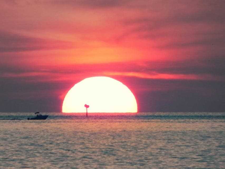 Tampa Bay: Private Sunset Cruise with Champaign or Wine Gallery Image 4