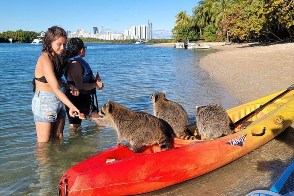 North Miami: Nature & Island Exploration on SUP/Kayak Gallery Image 2