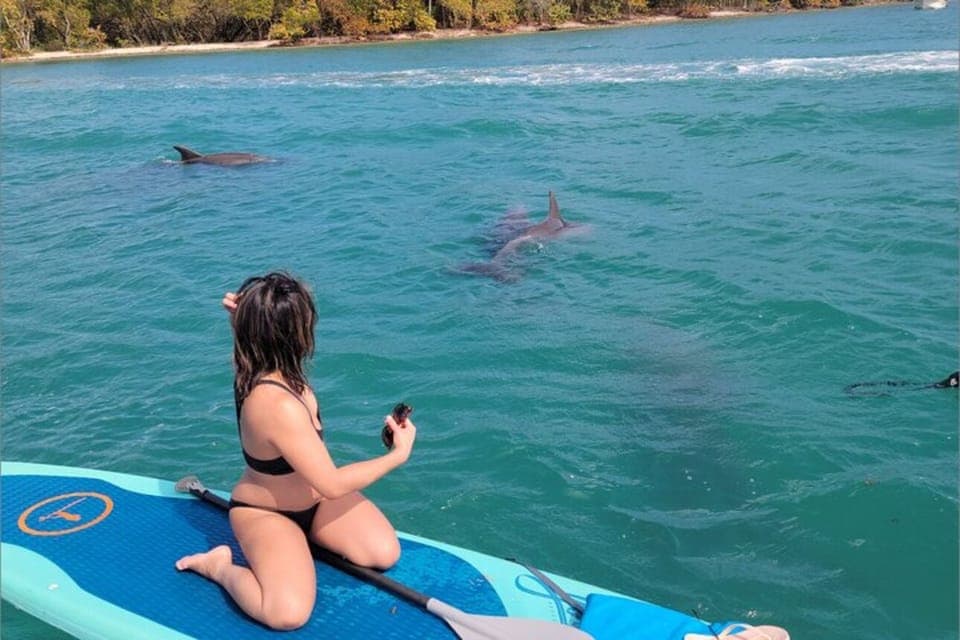 North Miami: Nature & Island Exploration on SUP/Kayak Gallery Image 4