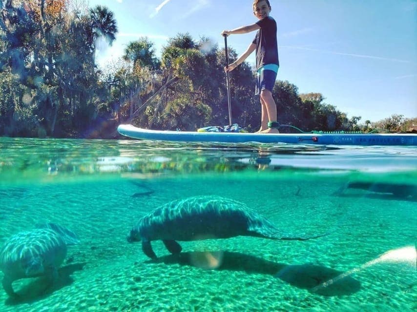 North Miami: Nature & Island Exploration on SUP/Kayak - Image 8