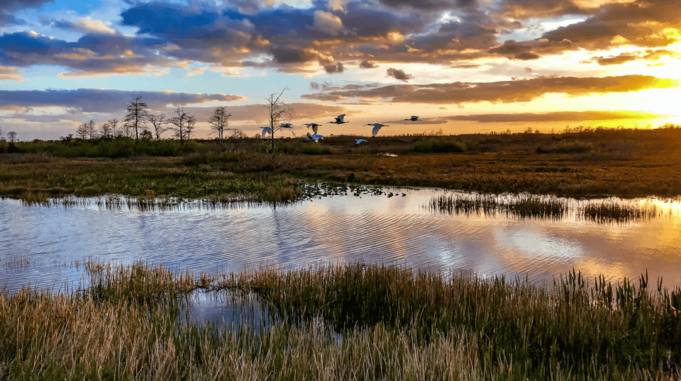 Everglades: Sawgrass Park Airboat Adventure Package Gallery Image 3
